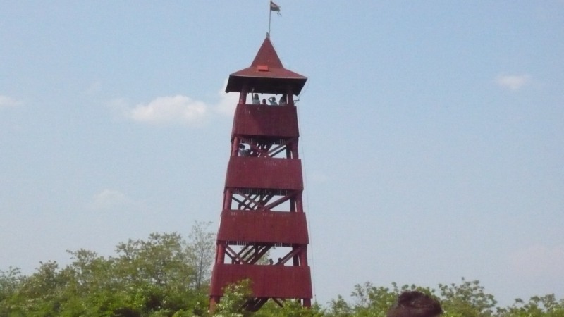 Madarak �s f�k napja